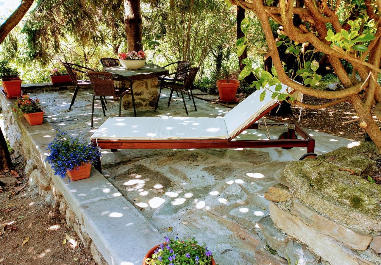 Casa Visnenza Bed & Breakfast Capo di Ponte Exterior photo